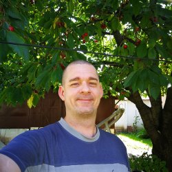 Lajos001 bélyegképe