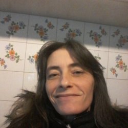 cimicica bélyegképe