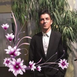 Potyesz bélyegképe