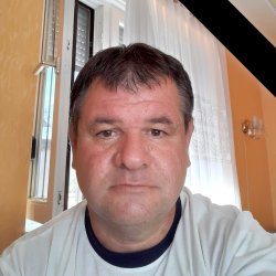Szarfold88 bélyegképe